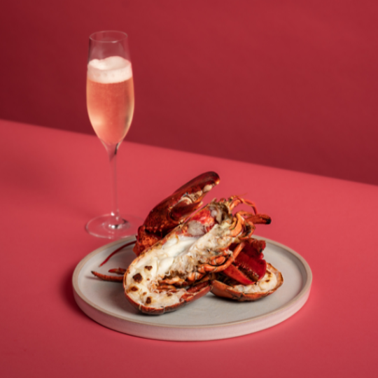 Lobster on a plate with champagne on a red background